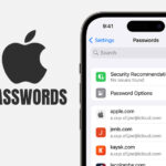 Apple Passwords: New App Launching Alongside iOS 18 This Fall